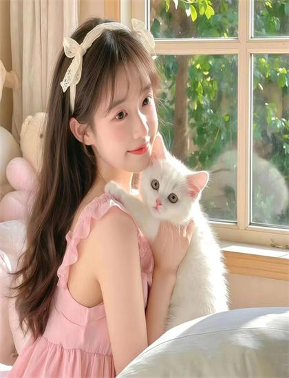 双语字幕：娱乐的TheRoadDance观看指南：剧情走向、时间线梳理与人物关系图详解